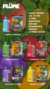 Plume 2g disposable