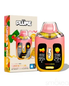 Plume 2g dispo
